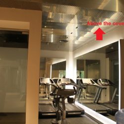palestra